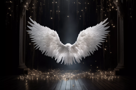 Black & White Angel Wings Backdrop For Photoshoot - Backdrop Imperia Printed Backdrop
